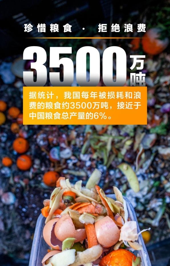 2020粮食浪费统计图图片